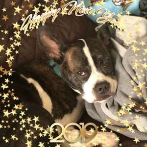 Meet your Posher, Jackie